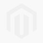 Perenboom 'Conference' hoogstam (zelfbestuivend) peren